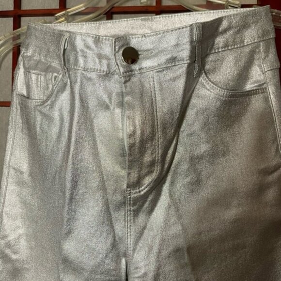 Silver Metalic Pants - Picture 2 of 6